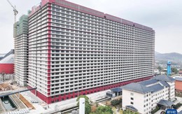 Lần đầu tiên VN hợp tác với TQ về “cách làm hay” trong 1 lĩnh vực dự kiến thu về 10.000 tỷ đồng mỗi năm