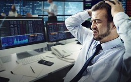 3 sai lầm khiến nhà đầu tư cá nhân “cháy tài khoản” dù thị trường tăng