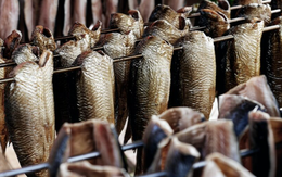 Một mỏ vàng dưới nước vừa giúp Việt Nam bỏ túi hơn 1.300 tỷ đồng: Xuất khẩu tăng cao nhất 5 năm, là mặt hàng được ưa chuộng nhất tại Mỹ