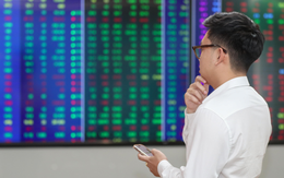Chứng khoán bứt phá: Người vui vẻ, kẻ thở dài