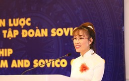 Tổng tài sản Tập đoàn Sovico đạt gần 230.000 tỷ đồng, các mảng kinh doanh đều tăng trưởng