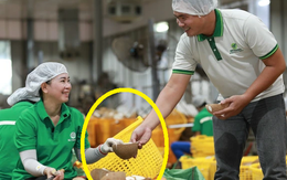 Sản vật tỷ USD của Việt Nam lọt Top 5 thế giới: Cách mặt đất 3-25m, chứa "nước thần" cực bổ