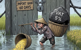 Giải mã 'kịch bản' hạ gục giá lúa miền Tây: Khi 'khách sộp' lật kèo và 3 cú 'plot twist' còn lại