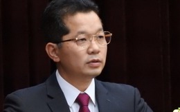 Bí thư Thành uỷ Đà Nẵng làm Phó Tổng Thường trực Thanh tra Chính phủ