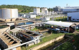 2 tháng nữa, nhà máy 2.200 tỷ đồng tại Quảng Ngãi sẽ được tái khởi động sau 10 năm bỏ hoang