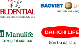 Công ty bảo hiểm nhân thọ nào đang đổ nhiều tiền nhất vào chứng khoán?