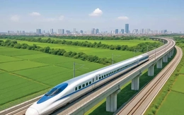 Bốn trụ cột, một tương lai