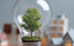 AI giúp giảm tới 30% năng lượng lãng phí trong các tòa nhà thương mại