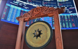 "Gã khổng lồ" bất động sản KCN vốn hóa gần 4.000 tỷ vừa được chấp thuận niêm yết HOSE