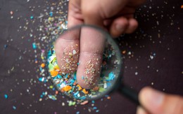 3 loại thực phẩm quen thuộc trong bếp nhiễm đầy vi nhựa: Người Việt vẫn vô tư ăn hàng ngày, có món chứa trung bình gần 200.000 hạt nhựa/gam