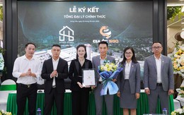 Địa Ốc SGO trở thành Tổng đại lý phân phối Dự án Chung cư  Song Hong Diamond City