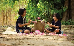 Tetra Pak thúc đẩy giải pháp bền vững cho an ninh lương thực ASEAN