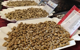 Giá cà phê hôm nay 4-9: Tăng lại, Mexico tăng nhập cà phê Việt 90 lần!