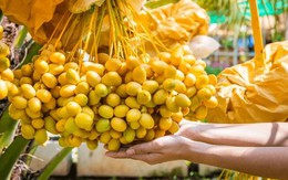 Loại quả từng là đặc sản cao cấp nay có giá rẻ nhất từ trước tới nay: Khi ăn cần lưu ý điều quan trọng này