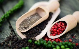 Giá hồ tiêu hôm nay bất ngờ điều chỉnh giảm
