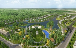 Đầu tư Nguyên Bình công bố chỉ tiêu tài chính nửa đầu năm 2025