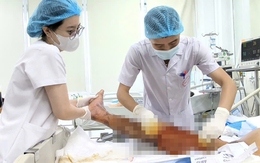 Chỉ từ một vết gai đâm vào đùi khi đi làm ruộng, người đàn ông sốc nhiễm trùng, suy đa tạng, nguy cơ tử vong