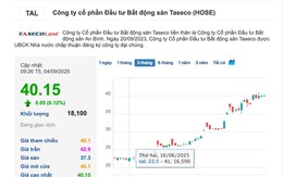“Đọc vị” loạt nhà đầu tư rót vốn vào Taseco Land