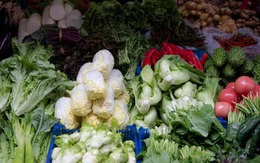 Người bán rau nói thẳng: Đi chợ thấy rau củ có 4 đặc điểm này, rẻ như bèo cũng QUAY XE!
