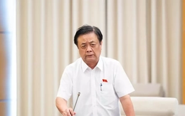 Không nơi nào trên thế giới có 'việc nhẹ lương cao', tại sao nhiều người vẫn bị lừa?