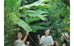 5 thời điểm đời người sẽ rơi xuống đáy, bước qua tuổi trung niên tôi nhận ra chỉ có 1 cách duy nhất để bật lên