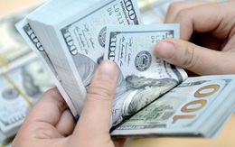 Cần đổi ngoại tệ, người phụ nữ chuyển khoản gần 1,7 tỷ đồng nhưng nhận về 0 USD, lập tức trình báo công an