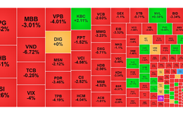 Chứng khoán ngày 5/9: VN-Index lao dốc sau khi leo đỉnh 1.700 điểm