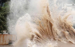 Biển Đông  sắp đón áp  thấp nhiệt đới