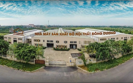 Xây dựng Đông Dương (DDB) bị phạt nặng vì công bố thông tin chậm và “vẽ” lợi nhuận ảo