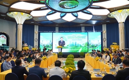 Không nên máy móc khi áp dụng các tiêu chuẩn quốc tế vào tài chính xanh Việt Nam