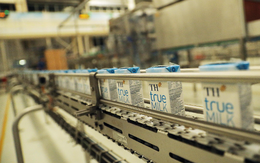 Sữa tươi sạch TH true MILK và quy trình sản xuất 12 bước tiêu chuẩn quốc tế