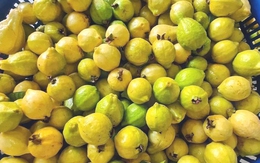 10 loại trái cây giúp bạn "càng ăn càng gầy", phụ nữ 40+ thường xuyên ăn collagen tăng sinh thấy rõ