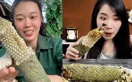 "7 năm chờ mới ăn được một quả": Loại cây nhà giàu trồng làm cảnh nay thành đặc sản mukbang gây sốt MXH