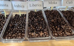 Giá cà phê hôm nay 7-9: Tuần buồn của người giữ cà phê