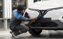 Chính thức bán ra xe Việt làm tại Ấn Độ dành cho người Ấn: Bước đầu trong kế hoạch 'nhân bản' cả Vingroup