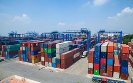 Một doanh nghiệp cảng biển chốt lại ngày trả cổ tức bằng tiền mặt, tỷ lệ 26,7%