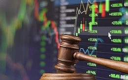 Liên tiếp các công ty chứng khoán bị xử phạt với hàng loạt lỗi vi phạm