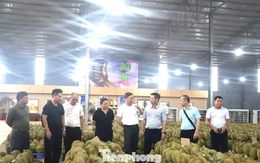 Doanh nghiệp Trung Quốc nói gì về chất lượng sầu riêng Việt Nam?