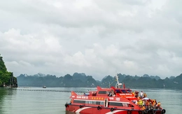 Quảng Ninh tạm dừng cấp phép cho tàu chở khách, tàu du lịch ra biển