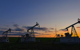 Bị áp thuế 50% vì mua dầu Nga, Ấn Độ giảm mạnh mua dầu Mỹ - chốt đơn từ nhà cung cấp mới: Hơn 3 triệu thùng đã được giao dịch, sẽ cập bến từ cuối tháng 10