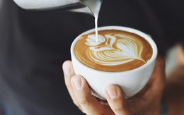 PGS - TS Harvard: Cà phê - ‘thức uống 2 mặt’ của thế kỷ 21, là thuốc bổ hoặc là ‘thuốc độc’ nếu uống sai cách