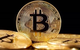 El Salvador mua thêm BTC nhân kỷ niệm 4 năm “Bitcoin Day”