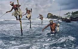 Khối ngoại "tranh thủ" gom gần 1.000 tỷ đồng cổ phiếu khi VN-Index giảm sâu, đâu là tâm điểm?