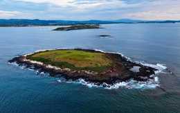 Phát hiện hòn đảo hoang sơ giữa biển miền Trung: Không có nhà dân, cảnh thay đổi theo mùa