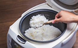 Có nên rút phích cắm nồi cơm điện ngay khi cơm chín? Thì ra bấy lâu rất nhiều người hiểu sai