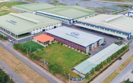 Vì sao một quyết định từ Ấn Độ có thể giúp đại gia nhựa vốn hóa 12.500 tỷ lớn nhất sàn chứng khoán Việt hưởng lợi kỷ lục?