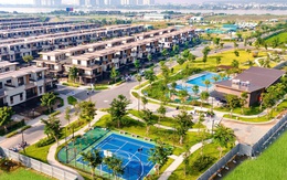 Đại gia đua nhau "săn" dự án sạch