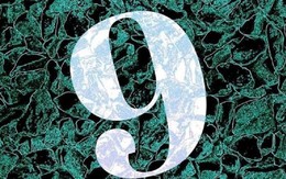 MXH đồng loạt chia sẻ "hôm nay là 9/9/2025, chính thức kết thúc năm thanh lọc": Bạn nên làm gì?