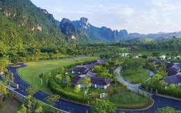 Du lịch Lạc Hồng công bố báo cáo tài chính nửa đầu năm 2025