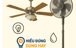 Quạt trần và quạt cây: Loại nào hiệu quả và tiết kiệm điện hơn trong phòng rộng?